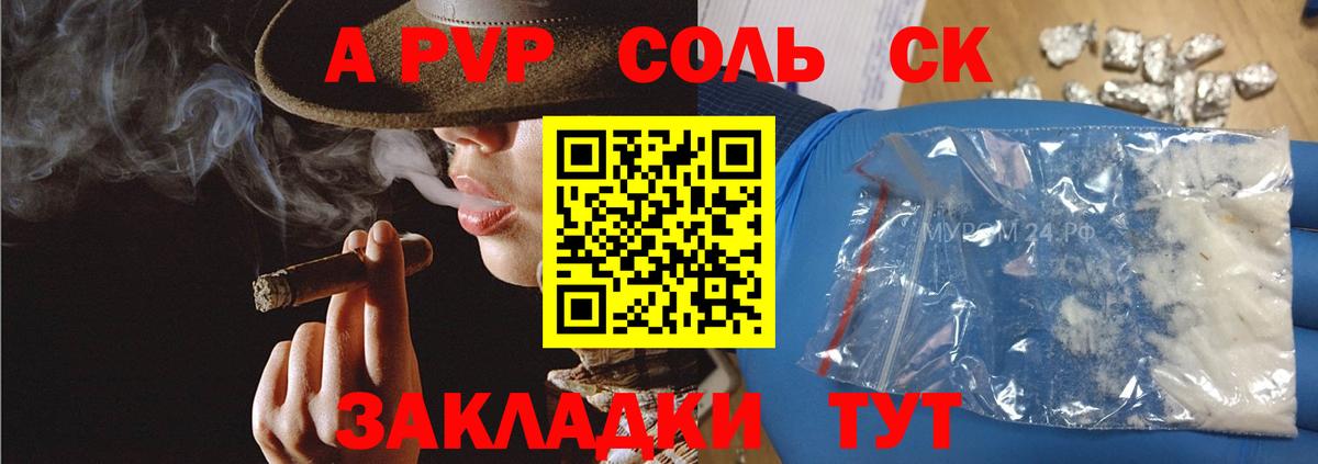 Сорочинск  Альфа ПВП СК  Вход с VPN  A-PVP СК КРИС 