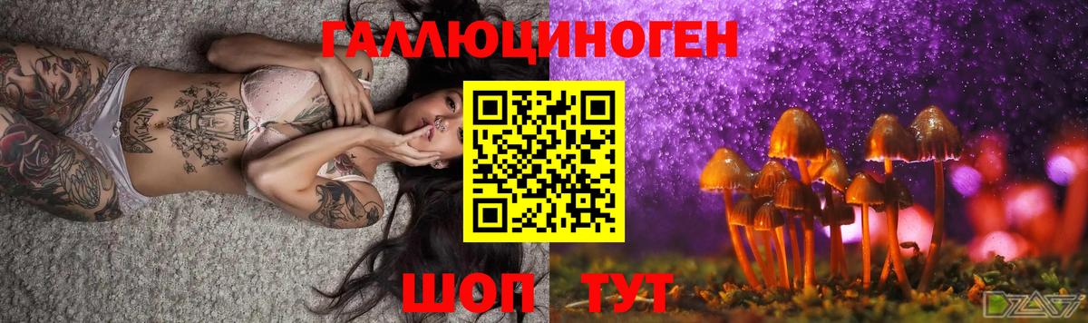 Галлюциногенные грибы Psilocybe Сорочинск